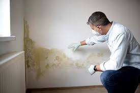 Pollock Pines, CA Mold Removal Company